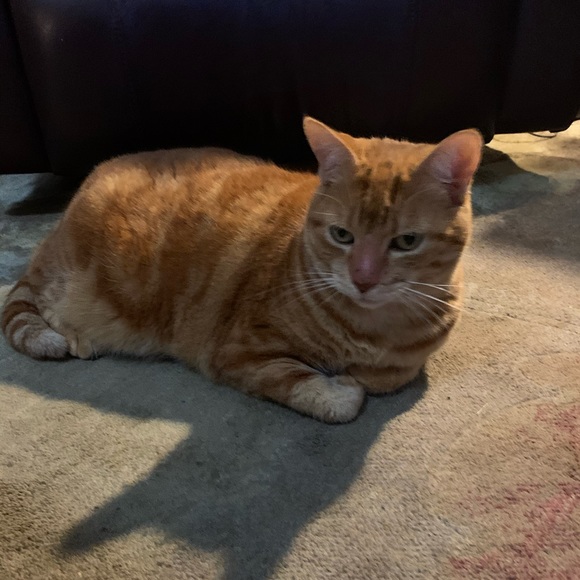 My babies are growing up…. - Picture 16 of 16